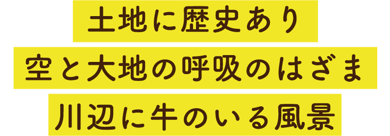 土地に歴史あり空と大地の呼吸のはざま川辺に牛のいる風景