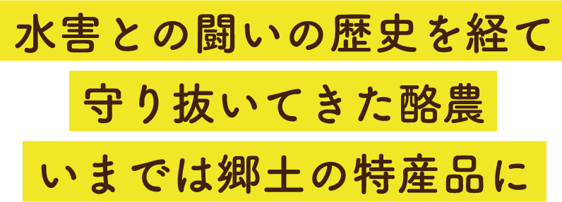 水害との闘いの歴史を経て守り抜いてきた酪農いまでは郷土の特産品に