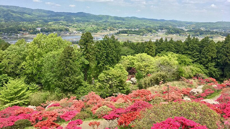 笠間つつじまつり