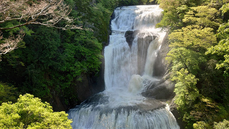 袋田の滝