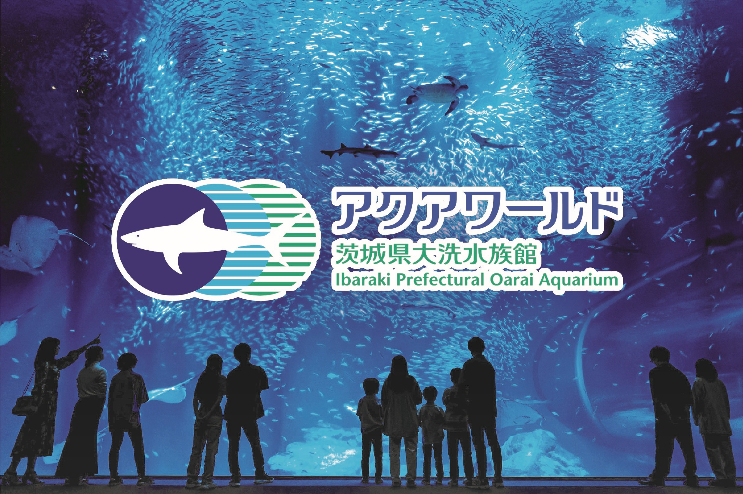 アクアワールド茨城県大洗水族館