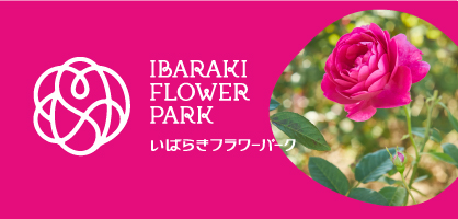 茨城県フラワーパーク
