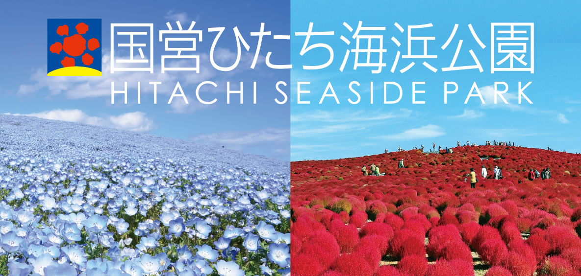 国営ひたち海浜公園